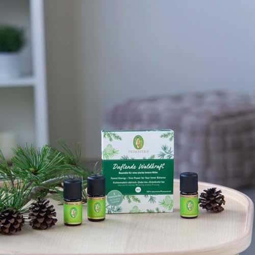 PRIMAVERA ätherische Öle Set Duftende Waldkraft - Geschenkbox 3 x 5 ml Zirbelkiefer, Zeder, Fichtennadel - Aromaöl, Duftöl, Aromatherapie, Geschenke - vegan - 3